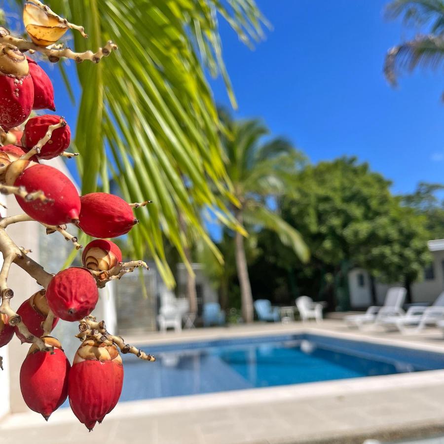 Zaba Beach House San Andrés Eksteriør billede